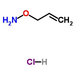 O-烯丙基羟胺 盐酸盐