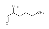 蛋白酶K