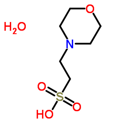 2-(N-吗啉)乙磺酸一水物