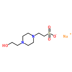 HEPES 半钠盐