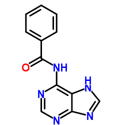 N6-苯甲酰基腺嘌呤