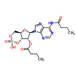 二丁酰环磷腺苷