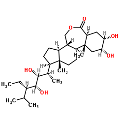 乙基芸苔素内酯