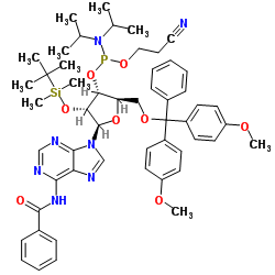 Bz-rA 亚磷酰胺单体