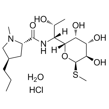 盐酸林可霉素(一水物)