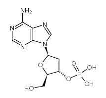 2'-脱氧腺苷-3'-单磷酸