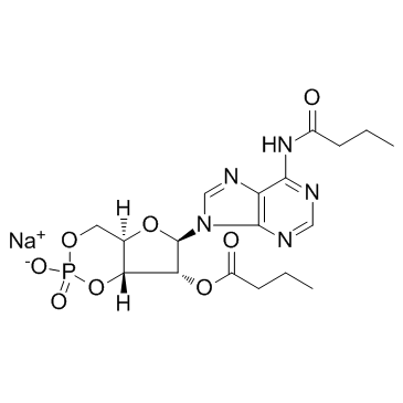 N6,2'-O-二丁酰基腺苷3',5'-环磷酸钠盐