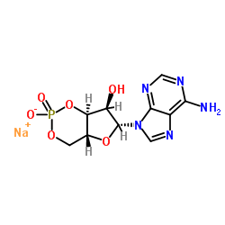 腺苷-3',5'-环状单磷酸钠水合物