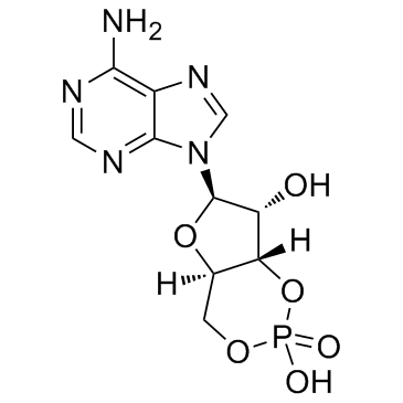 腺苷-3',5'-环状单磷酸