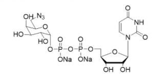 尿苷-5'-二磷酸-D-6-三氮半乳糖二钠盐