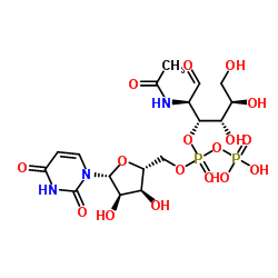 尿苷-5'-二磷酸-D-乙酰氨基半乳糖二钠盐