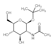 特丁基-2-乙酰氨基-2-脱氧-beta-D-葡萄糖苷
