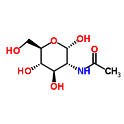 甲基-2-乙酰氨基-2-脱氧-alpha-D-葡萄糖苷