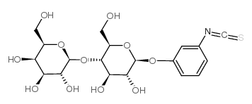 4-异硫氢酸苯基-beta-D-乳糖苷