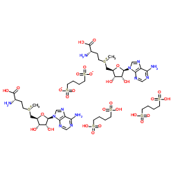 S-腺苷蛋氨酸 1,4-丁二磺酸盐