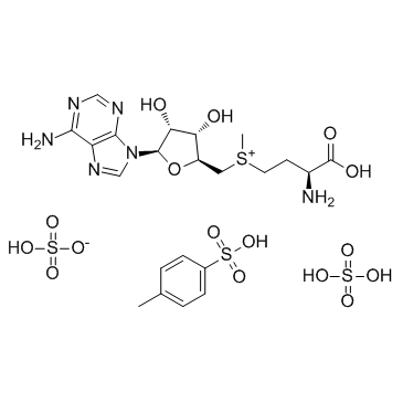 对甲苯磺酸二硫酸腺苷蛋氨酸