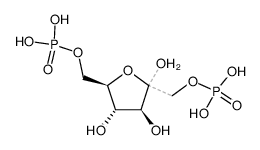  D-果糖-1,6-二磷酸     