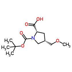 (2S,4S)-1-(叔丁氧羰基)-4-(甲氧甲基)吡咯啉-2-羧酸