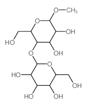 甲基-beta-D-麦芽糖
