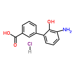 3'-氨基-2'-羟基-[1,1'-联苯]-3-甲酸盐酸盐