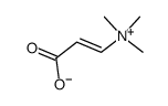 (E)-(2-carboxyvinyl)trimethylammonium betaine