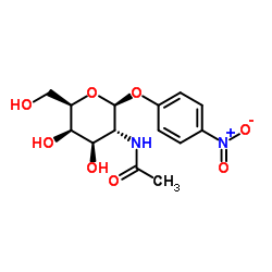 对硝酚基-2-乙酰氨基-2-脱氧-beta-D-半乳糖苷