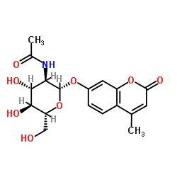 4-甲基伞形酮酰-2-乙酰氨基-2-脱氧-beta-吡喃葡糖苷
