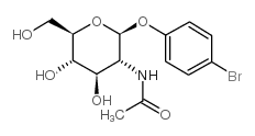 4-溴苯基-2-乙酰氨基-2-脱氧-beta-D-葡萄糖苷