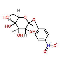对硝酚基-beta-D-半乳糖苷