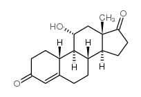 11a-羟基雌甾-4-烯-3,17-二酮	