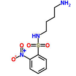 N-(4-氨丁基)-2-硝基苯磺酰胺