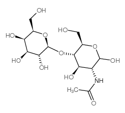 N-乙酰-D-乳糖胺