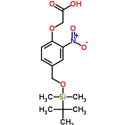 2-[4-(叔丁基二甲硅氧基甲基)-2-硝基苯氧基]乙酸
