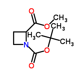 N-Boc-2-氮杂环丁基甲酸甲酯	