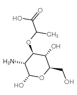 胞壁酸; 2-氨基-3-O-(1-羧乙基)-2-脱氧-D-葡萄糖