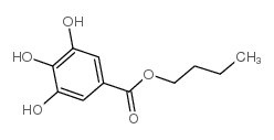 没食子酸正丁基 酯
