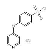 4-(4-吡啶氧基)苯磺酰氯盐酸盐	