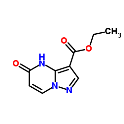 5-氧代-4,5-二氢吡唑并[1,5-a]嘧啶-3-羧酸乙酯	