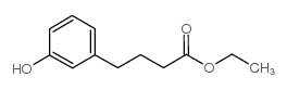 4-(3-羟基苯基)丁酸乙酯	