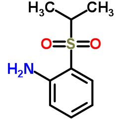 1-氨基-2-(异丙基磺酰L)苯	