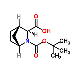 (1R,3S,4S)-N-叔丁氧羰基-2-氮杂双环[2.2.1]庚烷-3-羧酸	