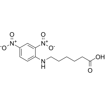 N-(2,4-二硝基苯)-6-氨基己酸