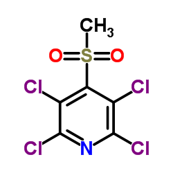 2,3,5,6-四氯-4-(甲磺酰)吡啶