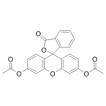 荧光素二乙酸盐